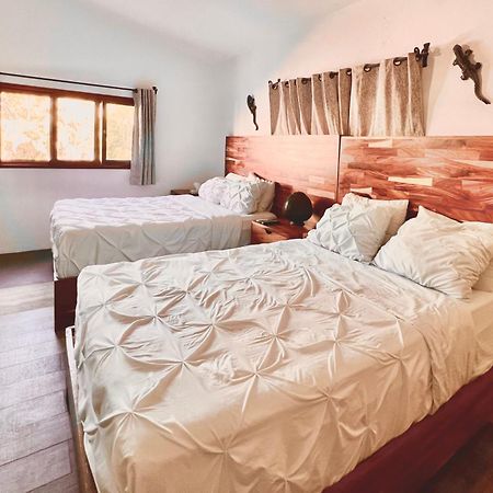 Villa San Juan Bed&Breakfast 新巴利亚塔 外观 照片